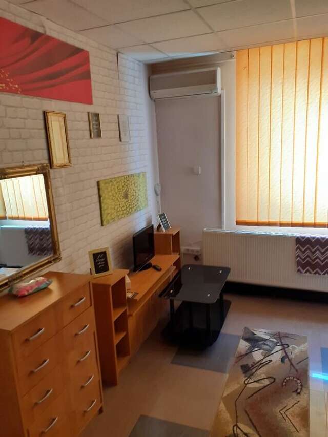 Апарт-отели Aparthotel VIPs Рымнику-Вылча-4